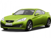 Коврики в салон (2 ряда) Hyundai Genesis (купе) 2008-2014