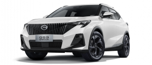 Коврики в салон (2 ряда) GAC GS3 2024-н.в.