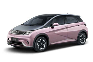 Коврики в салон (2 ряда) BYD Dolphin 2021-н.в