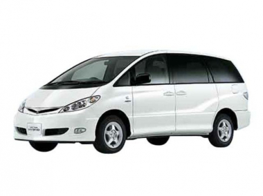 Коврики из экокожи 3D  Toyota Estima II (2000-2006) 7 мест (2 ряд капитанские)*